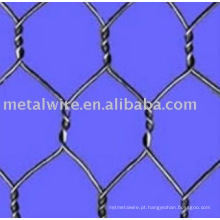 Série Hexagonal Wire Mesh